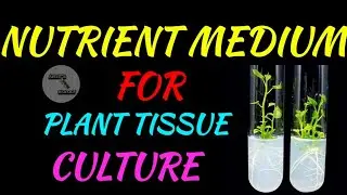 NUTRIENT MEDIA FOR PLANT TISSUE CULTURE || PLANT TISSUE CULTURE MEDIUM
