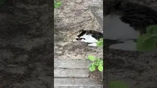 Я вас завтра жду на моём прямом эфире в 15:00 в телеграмме https://t.me/DanikShvedik