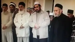 Мавлид Доргели