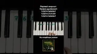 Мертвый анархист Король и шут на пианино 🎹 Обучение
