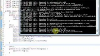 Using Selenium Simplified Book With Selenium 2.0
