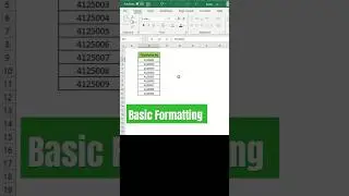 Basic Formatting in Excel. 