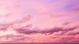 видеокассета твоих родителей - ласточка