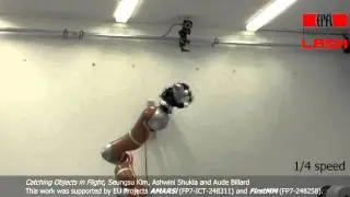Catching objects in flight (LWR+AllegroHand) + subtitle
