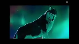 Legendsv never die/// dogs