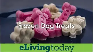 DIY Frozen Dog Treats: Peanut Butter Banana Paw-sicles & Berry Good Dog Bones