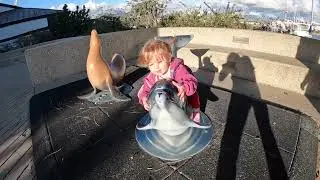 A day at The Channel Islands National Park Visitor Center in Ventura