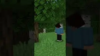 Minecraft Running Ducks