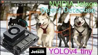 NVIDIA Jetson Xavier NX Object Detection with YOLOv4-tiny-416