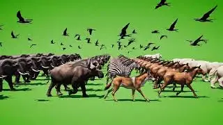 Epic Animal Stampede Green Screen | Wild Beasts Running Together