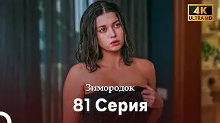 Зимородок 81 Cерия (Русский дубляж) (4K)