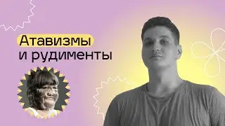 Рудименты и атавизмы. ЕГЭ БИОЛОГИЯ