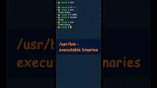 On a Linux system which directory contains applications and files used by users? 