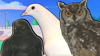 ressu and sei hanging with the HATOFUL BOYS