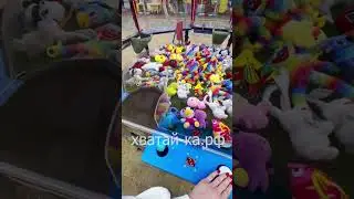 Хватай-ка на 4 игроков. Прибыль 150тр