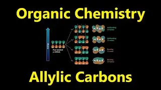 Organic Chemistry - Allylic Carbons and Kinetic vs. Thermodynamic Products