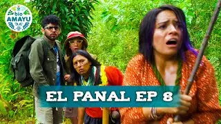 Panal desunido siempre será vencido | Ep 8 - Serie El Panal | BIO AMAYU