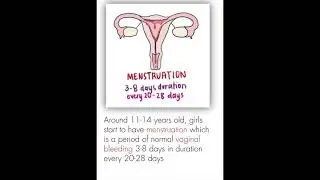 Physical Changes During Puberty