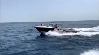 video leviathan II