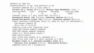 CCNA 200-301 Video Practice Exam 2:  OSPF