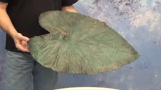 Resin Casting And Finishing: BR-75D Resin leaf Antique Copper Finish