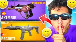 NEW Secret Meta loadouts in Warzone