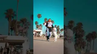 The theme song for all us 30 & over crew😅 #shuffledance #shufflecombo #shuffletutorial #dogshorts