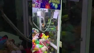 Kalau lagi sial ya gini 