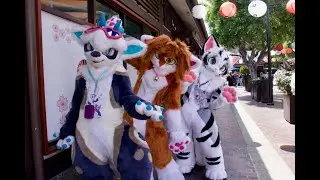 Kemono Fursuit Outing at Little Tokyo