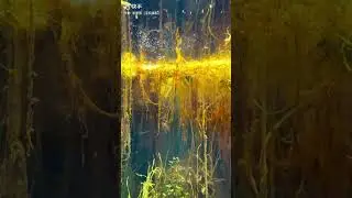 这大概就是 神仙居住的地方吧... #shorts