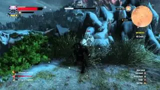 The Witcher 3: Wild Hunt 