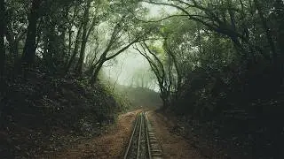 34 Minutes of Relaxing Nature Photography