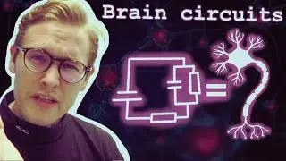 Simulating Neural Signals with RC Circuits