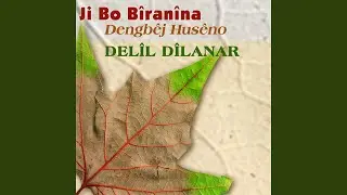 Dilber