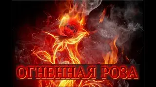 МОЩНАЯ ЧИСТКА ОГНЕННАЯ РОЗА *216