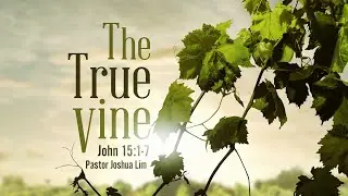 The True Vine | John 15:1-7