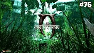 The Elder Scrolls IV Oblivion: GBRs Edition - Прохождение: Рыцарский Орден и Скелетный Ключ #76