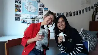 Giornata mondiale del pinguino- Flavia racconta la sua ricerca ai confini del mondo