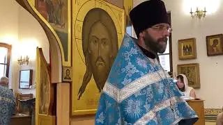 Успение Пресвятой Богородицы 27.08.2024 Проповедь о.Димитрия Шульги