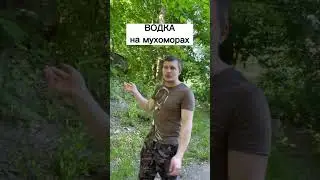 8 июня 2023 г.