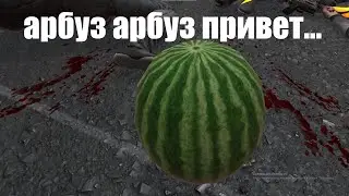 арбуз арбуз VR