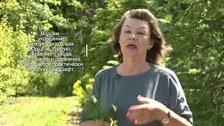 Как получить красивый сад, когда ухаживать за ним нет времени