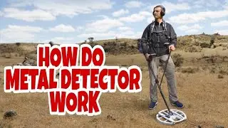 How do Metal Detectors Work | HINDI