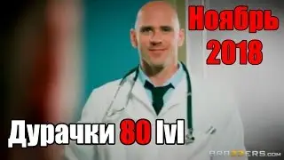 Дурачки 80 lvl #10 ноябрь 2018 только лучшие coub