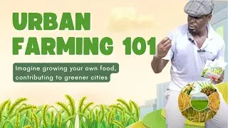 Urban Farming 101: Sustainable Growing Solutions for the Future!