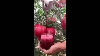Granates juice