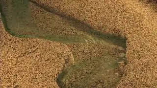 River Geomorphology (14) - Oblique Bend Incision, View Upstream, Closeup