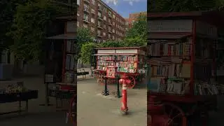 Пойдем открывать Новые Земли - Сиасток!