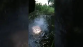 Охота на карпа 