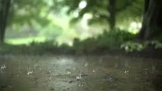 New No Copyright Music - Slept Soundly To The Rainfall